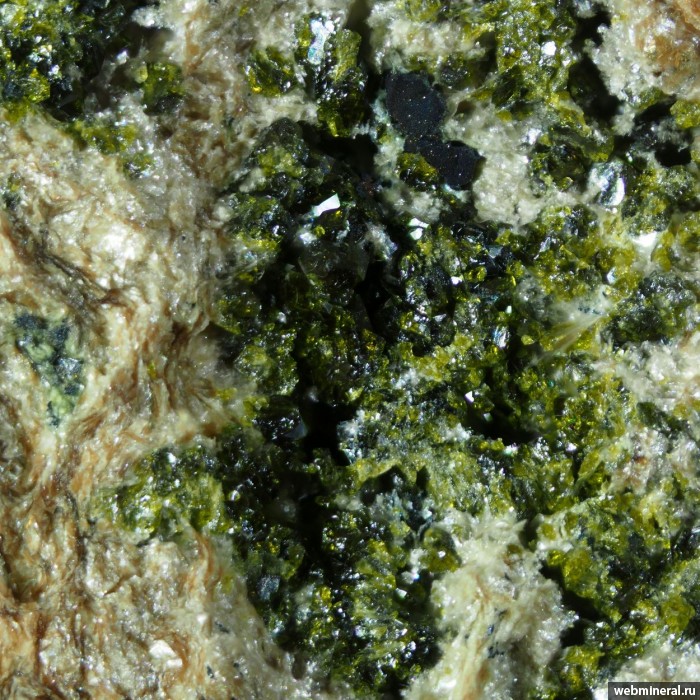   , , , . Valgraveglia Mine (Gambatesa Mine), Monte Copello, Reppia, Ne, Genoa, Liguria.