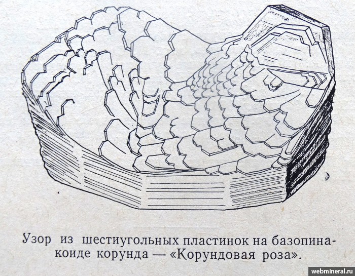 ���������� �������� ������. ���� � 299.