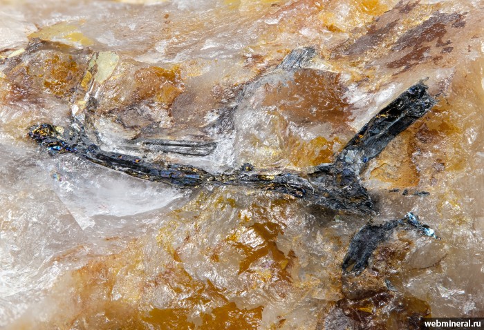 ���������� �������� ��������, ��������, �������, �����������. ����������� (W-Mo) �������������.