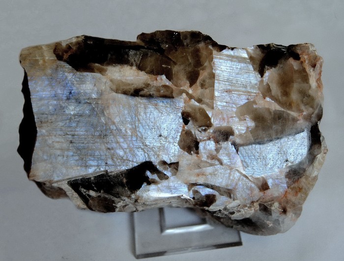 ���������� �������� ������ ����. (���������). ����������� �������������.