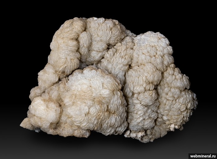 ���������� �������� �����. ������ ����������.