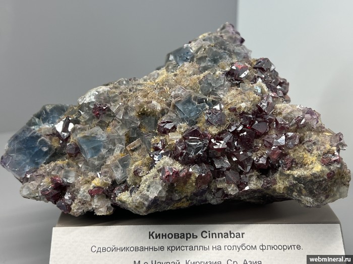 ���������� �������� ��������, �������, �����. ������ (Hg) �������������.