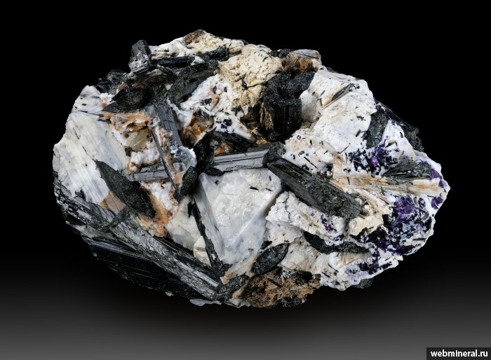 ���������� �������� �������, ������. ���� � 50.