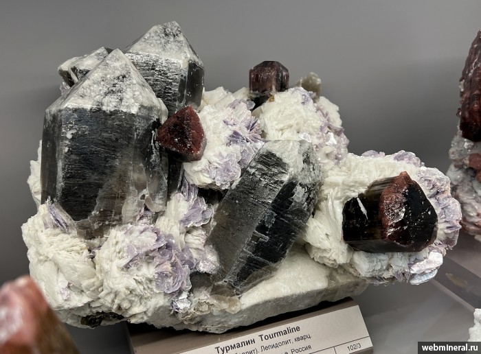 ���������� �������� �������, �����, ������, ���������. ������� ����.