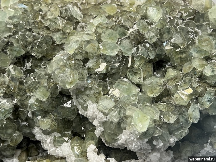 ���������� �������� �������, �������. ��� ������.