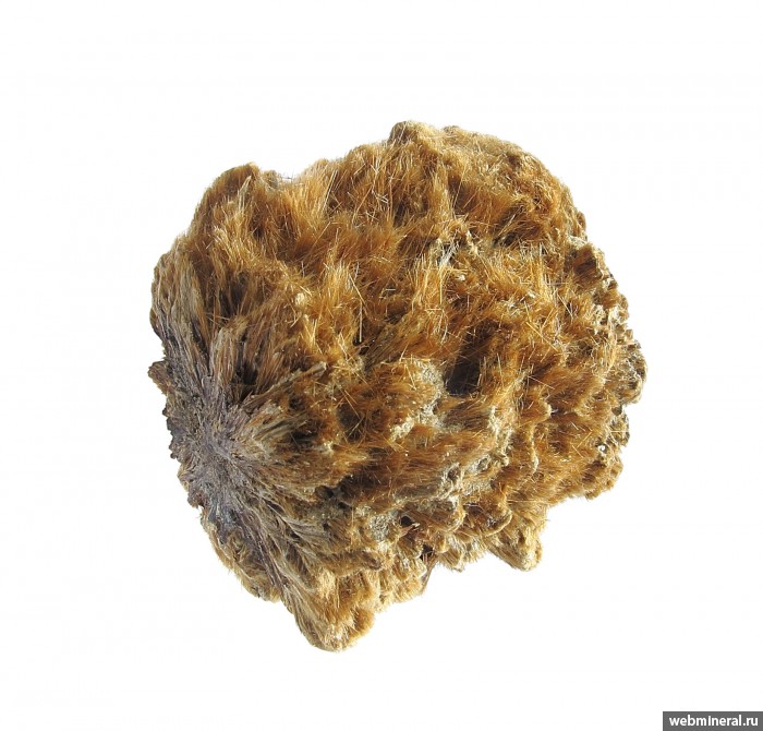 ���������� �������� �����������. ��� ��������.