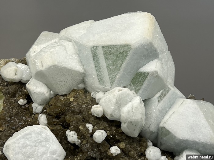 ���������� �������� �������, ���������. ��� ������.