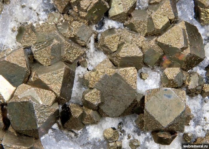 ���������� �������� �����. ������������� �������������.