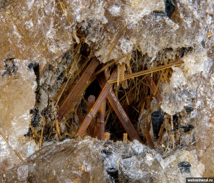 ���������� �������� �����������, ��������. ���� � 50.