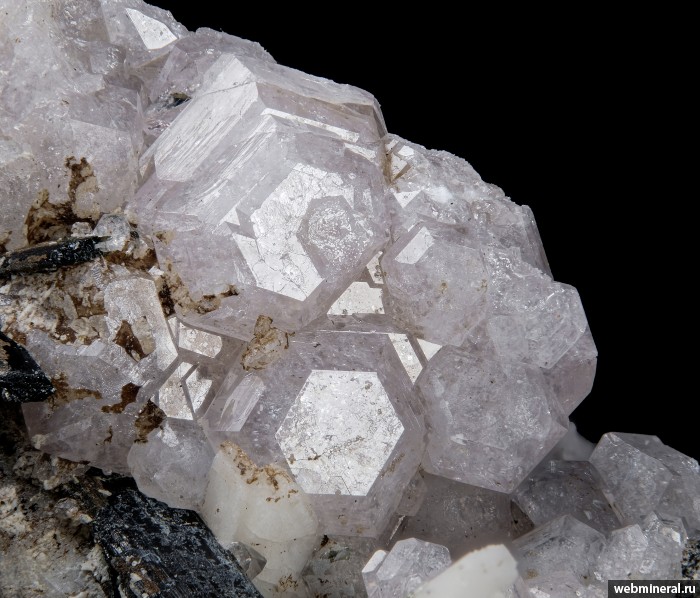 ���������� �������� ������, ������. ���� � 50.