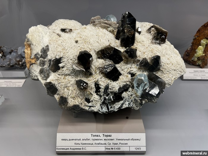 ���������� �������� �����, �����, ������, ��������, ����. ��������� ����.