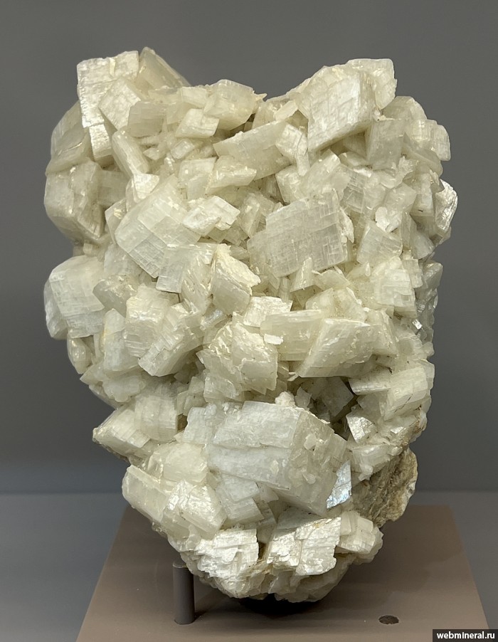 ���������� �������� �������. ���������� (Au) ������������� (������ ����).