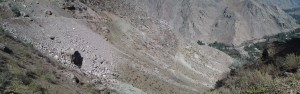       .  (Hg) .   . webmineral.ru