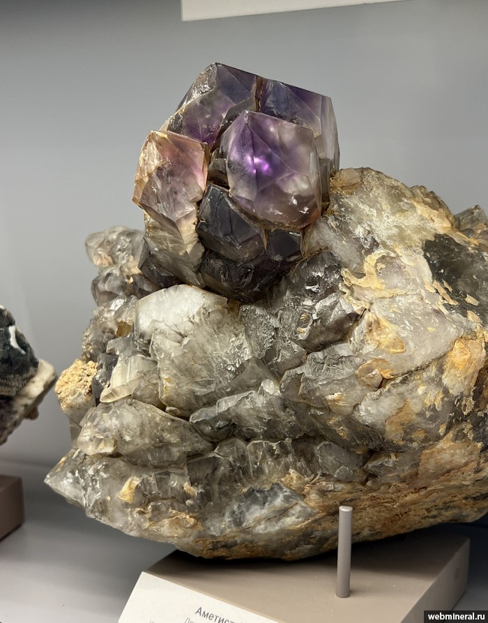 ���������� �������� ����� ����. (�������). ���� ������� ��������.