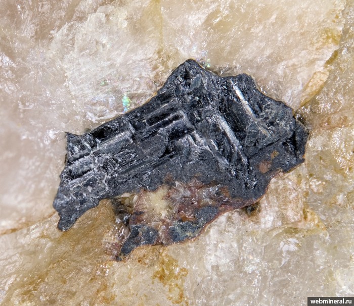 ���������� �������� ��������, �������, �����. ������������ (Be) ��������������.