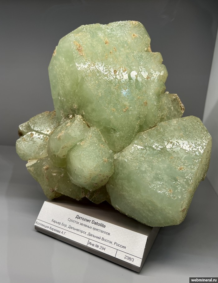 ���������� �������� �������. ��� ������.