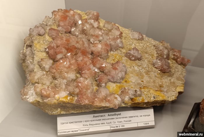 ���������� �������� ����� ����. (�������). ���� �������� ��� .