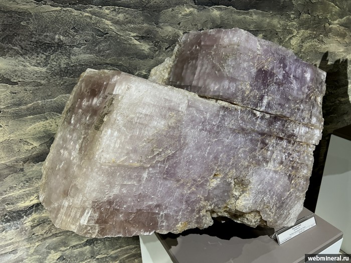 ���������� �������� �������. ���� �������������.