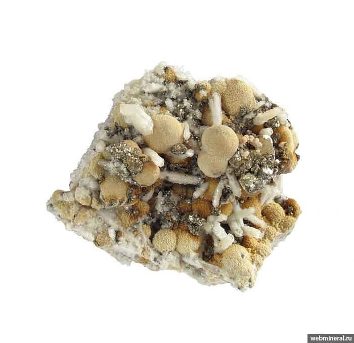 ���������� �������� �������, �����, �����. 2-� ��������� ������.