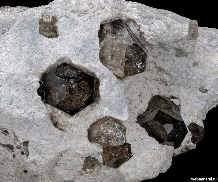 ���������� �������� ����� ����. (�������� �����). ������ ����������.