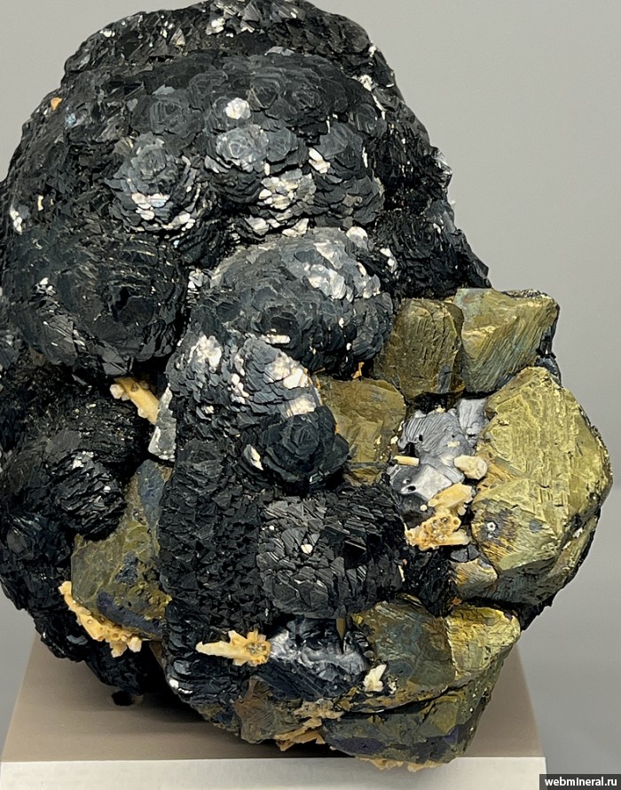 ���������� �������� ��������, �����������, �������, �����. ������������ ������.