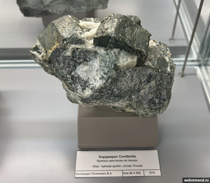 ���������� �������� ���������. ��������� ������.