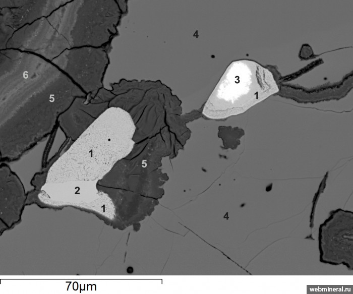 ���������� �������� ���������, ���������, ����������, ���������-(Cu). �������������� (V) �������������.