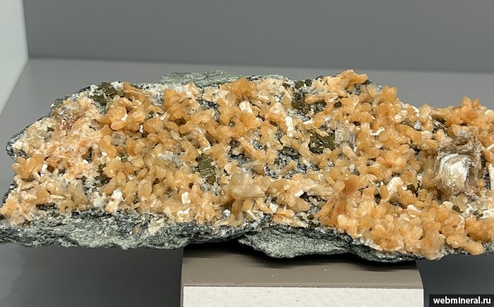 ���������� �������� ��������, �����, ���������. ����� �������������.