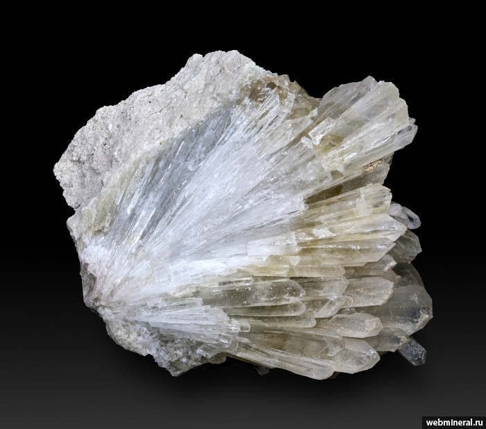 ���������� �������� ��������. �����-���� �������.