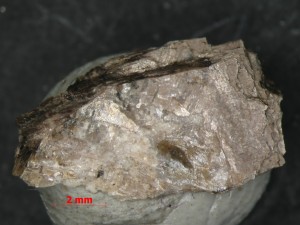 .   71.   . webmineral.ru
