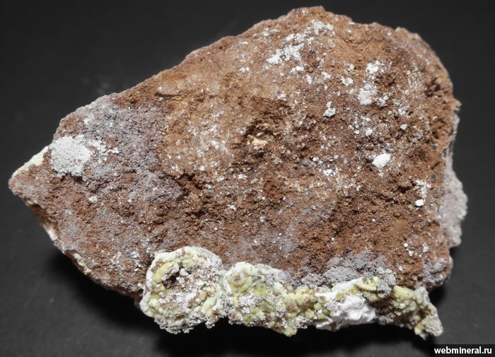 ���������� �������� ���������������, ��������, �������. ������� ������.