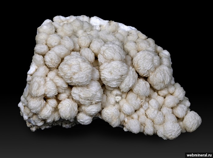 ���������� �������� �����. �����-���� �������.