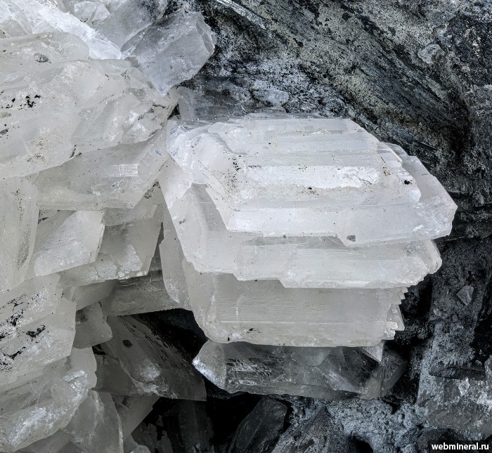 ���������� �������� �����, ���������. �������� (Sb) �������������.