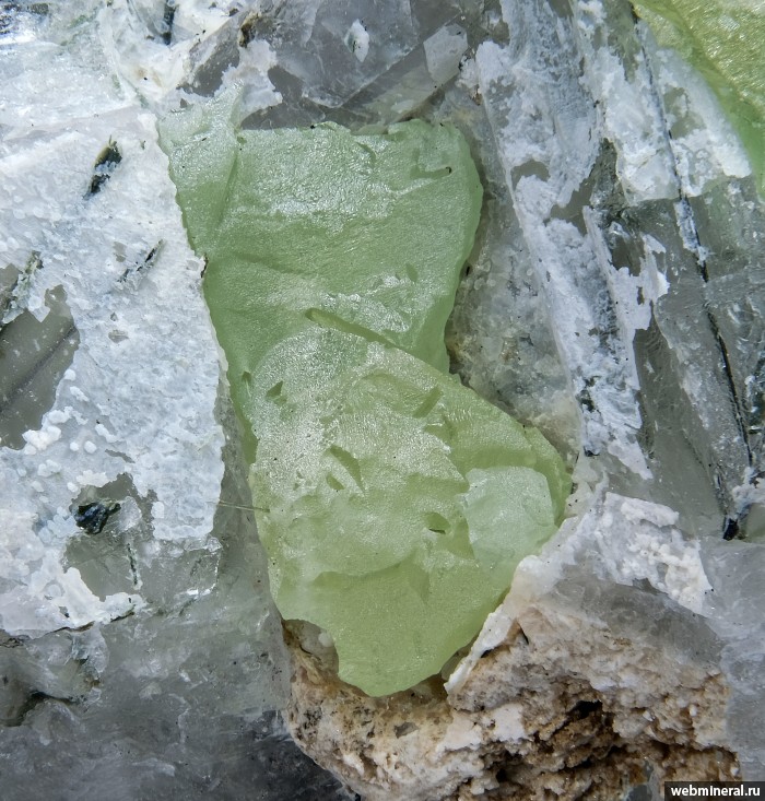 ���������� �������� ��������. ��� ��������.