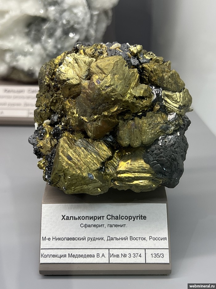 ���������� �������� �����������, ��������, �������. ������������ ������.