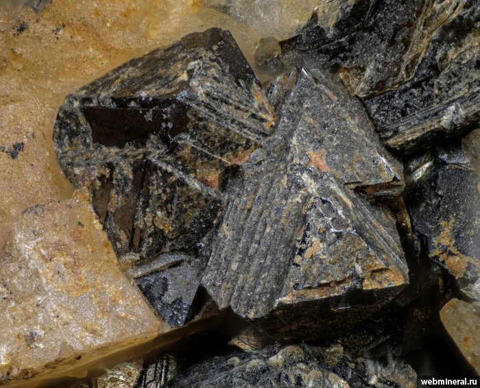 ���������� �������� ��������. ���� � 37.