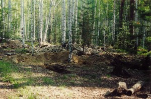  .   (  ).   . webmineral.ru