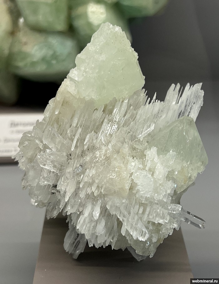 ���������� �������� �������, �����. ��� ������.