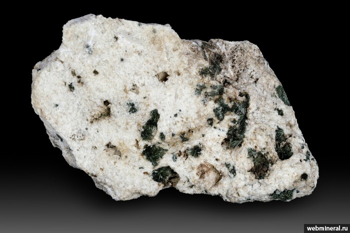 ���������� �������� ������, ������. �������� � 24 (����������).