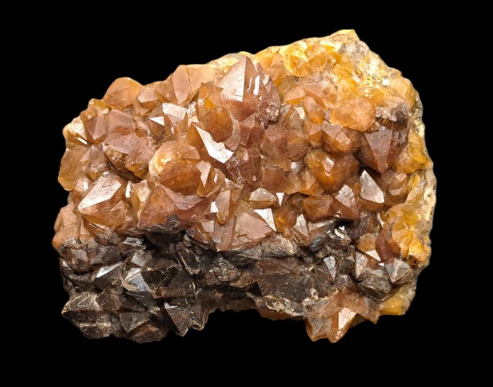 ���������� �������� �����, ø���. �������� �����.