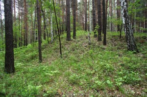   .   .   . webmineral.ru