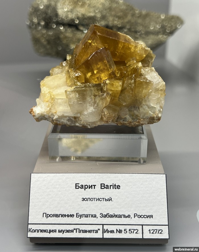 ���������� �������� �����. ������� ����������.