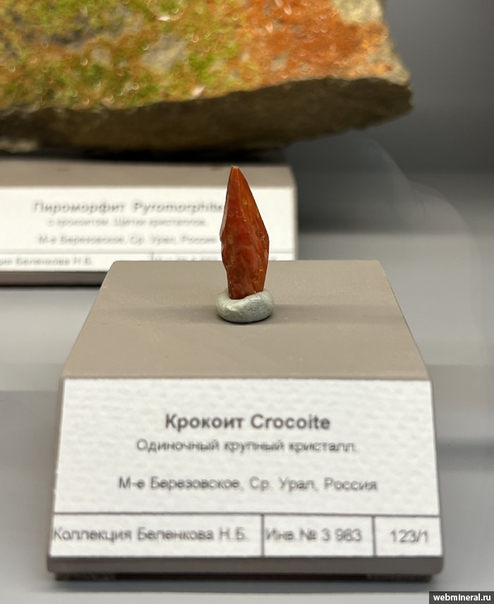 ���������� �������� �������. ����������� ����.