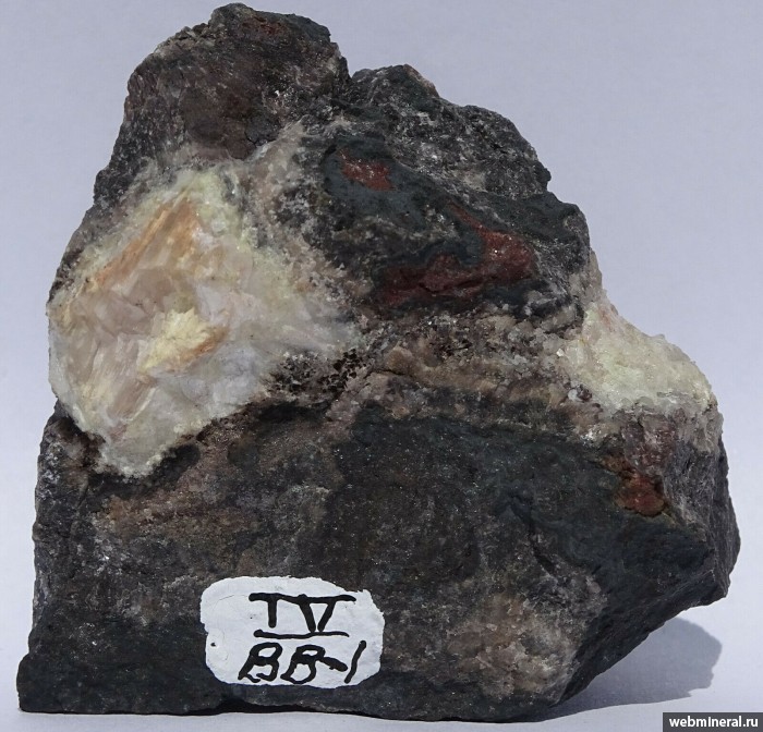   , . Torr Works Quarry, Cranmore, Mendip, Somerset, England.