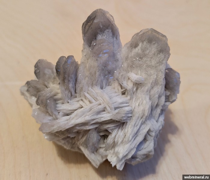 ���������� �������� �����. ������������� �������������.