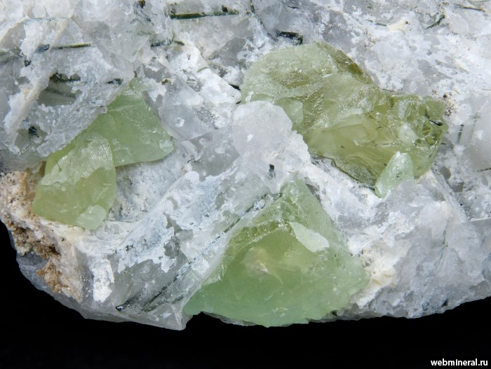 ���������� �������� ��������. ��� ��������.