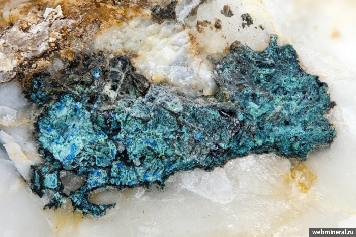 ���������� �������� �������. ������� ����.