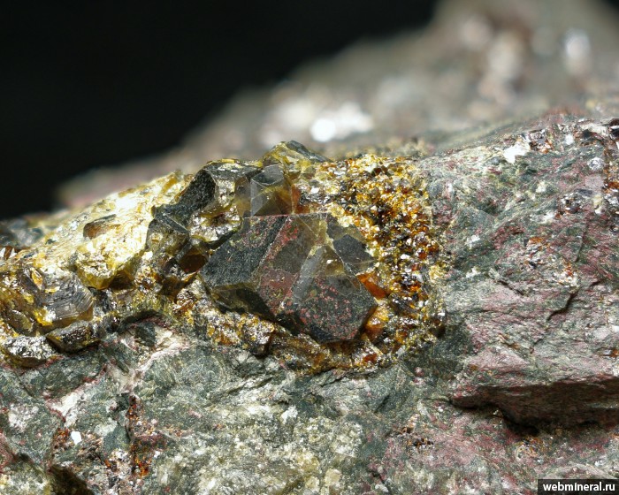 ���������� �������� ��������. ������� (Fe) �������������.