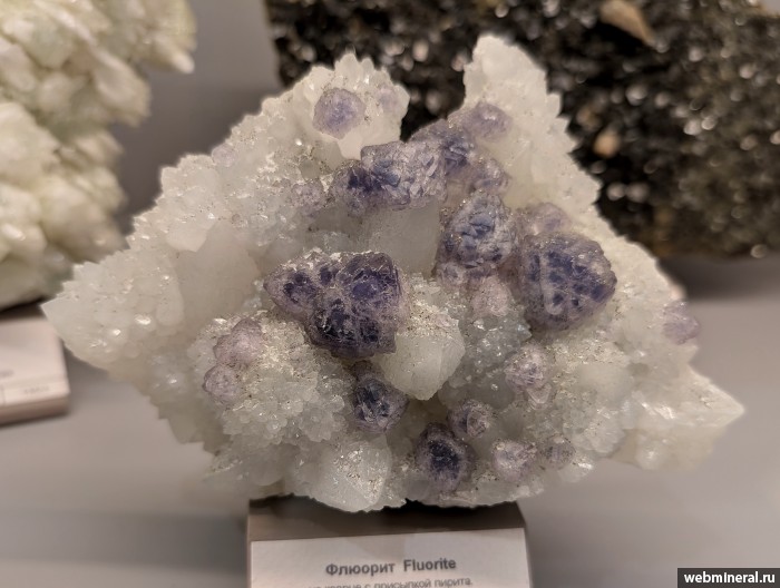 ���������� �������� �������, �����, �����. ��������� �������������.