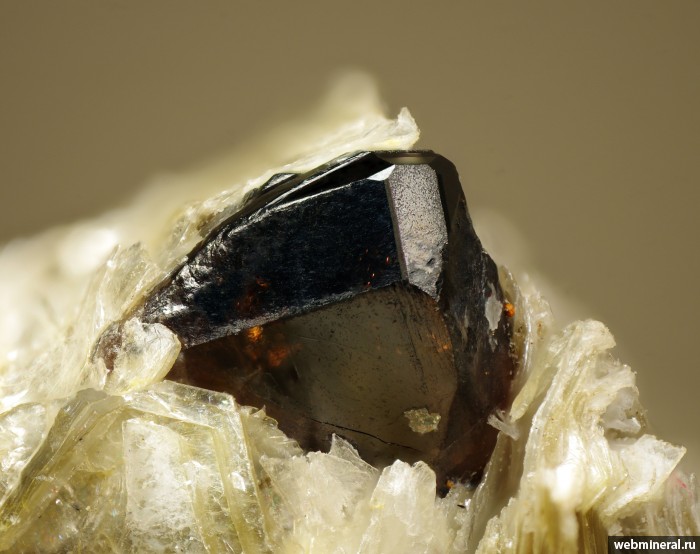 ���������� �������� ����������. ������ �������������.